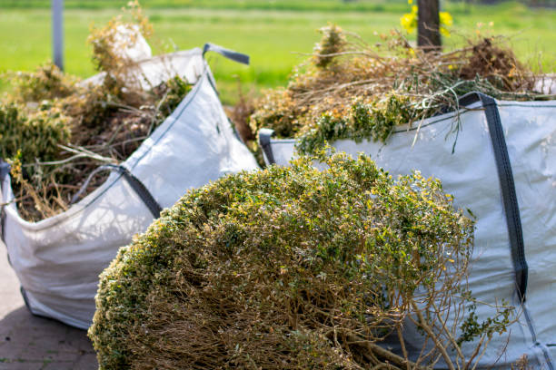 Best Attic Cleanout Services  in Cold Springs, NV