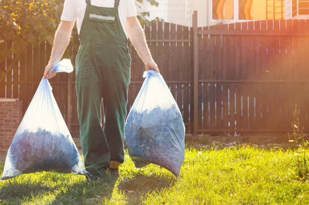 Best Office Junk Removal  in Cold Springs, NV