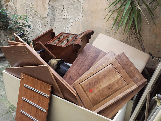 Best Professional Junk Removal  in Cold Springs, NV